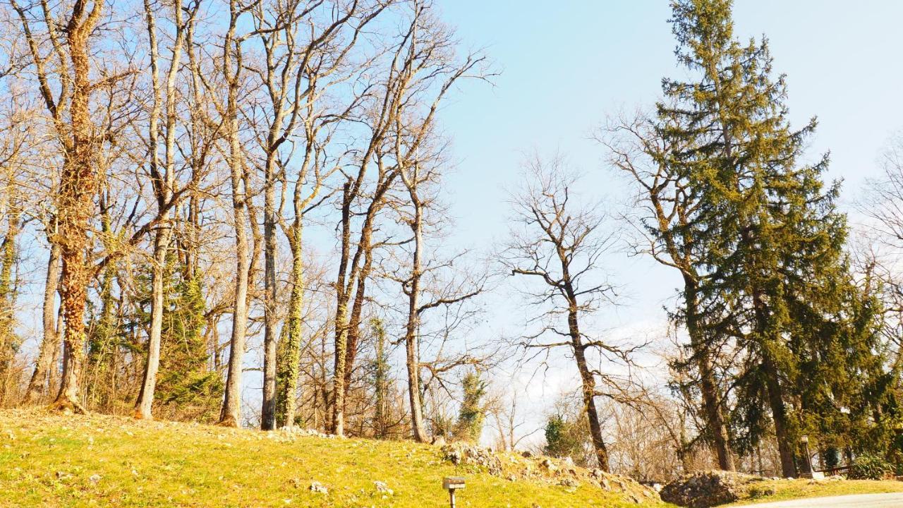 La Garenne De Morestel ภายนอก รูปภาพ